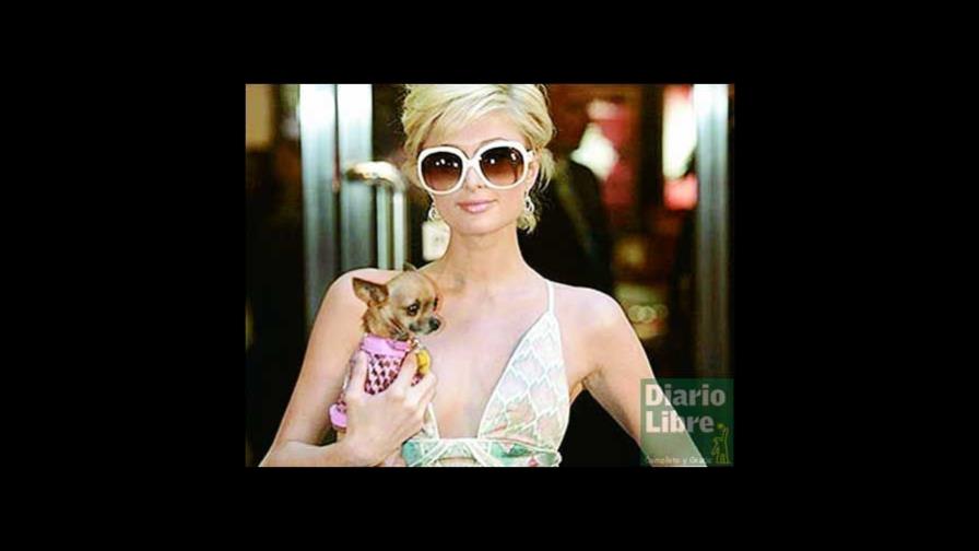 Paris Hilton irá a la cárcel con su perro