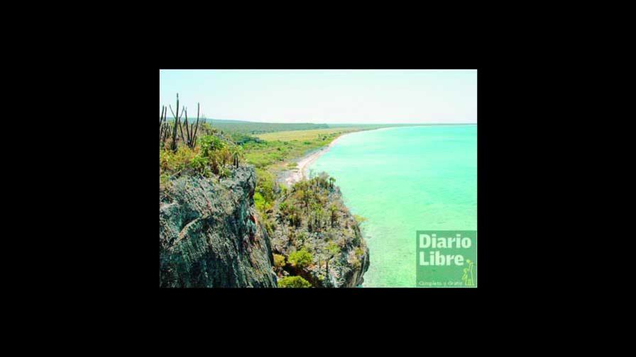 Abogan por reforma diáfana a Ley 202-04