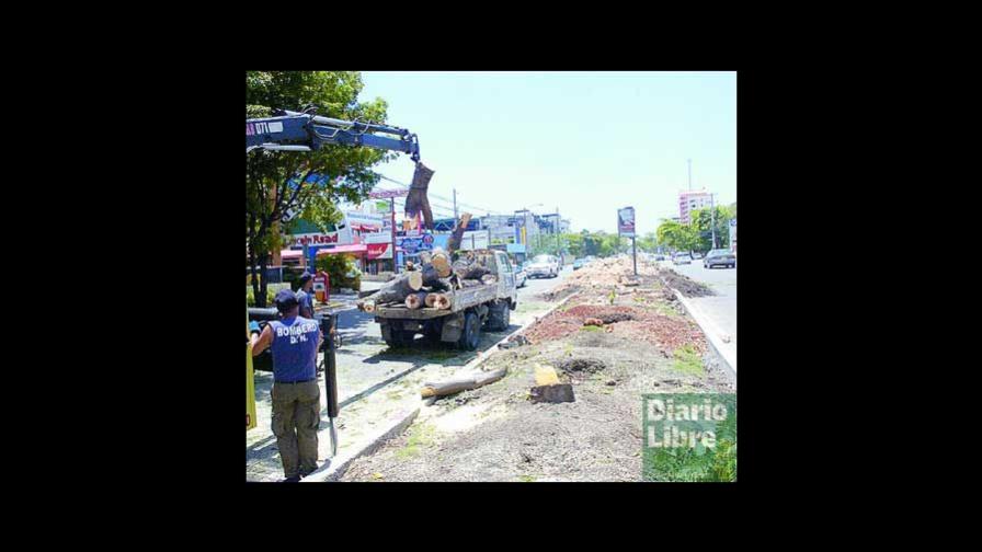 Problemas de la arborización en Santo Domingo de Guzmán