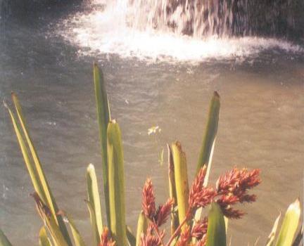 Caño Hondo se expande a los pies de Los Haitises