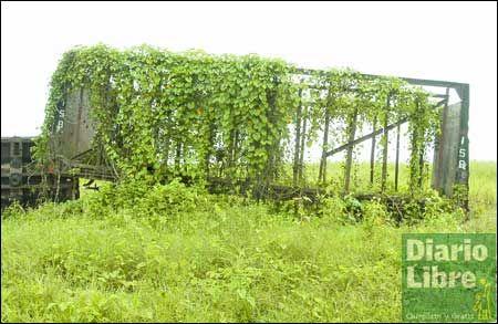 La capitalización: una reforma que todavía no logra sus objetivos