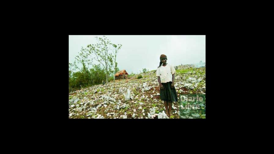 Por una Quisqueya verde, viva y biodiversa