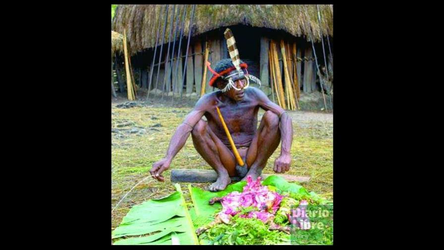 Pene del Homo sapiens es un órgano de ostentación ritual