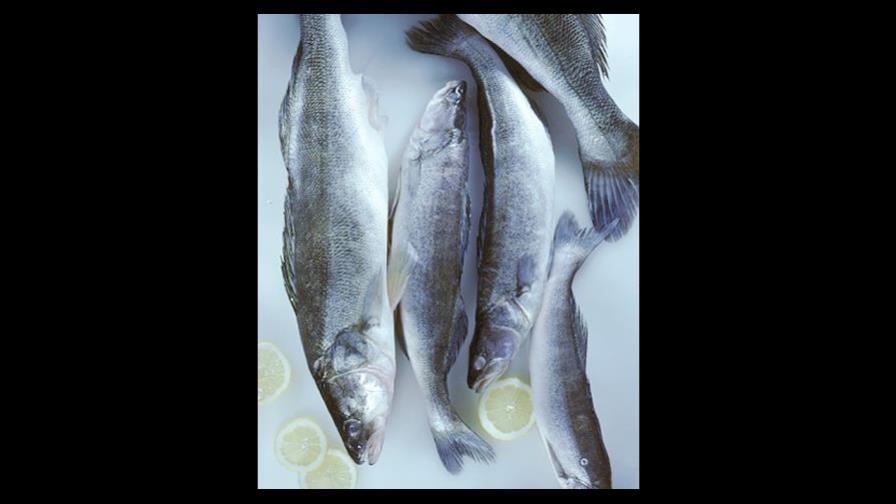 El beso de la ciguatera