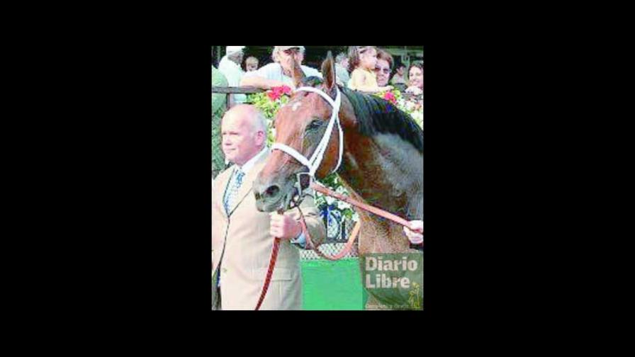 Invasor, el mejor del 2006, es un semental