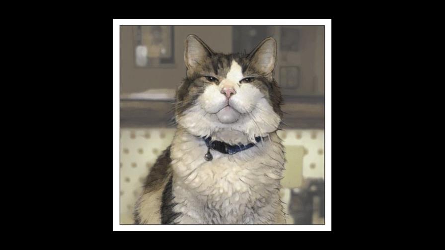 Oscar, un gato que predice la muerte