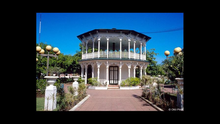 La fiebre de las palmas llega a Puerto Plata