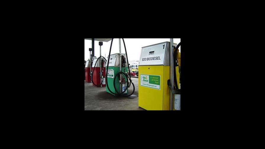 Expertos instan a producir biodiesel y etanol Expertos instan a producir biodiesel y etanol