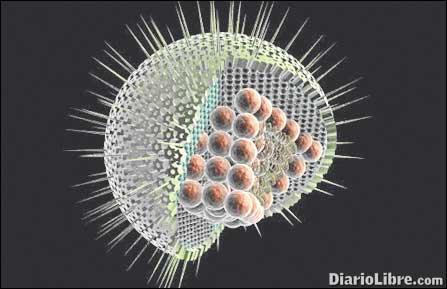 Los Herpes: una tendencia en el verano