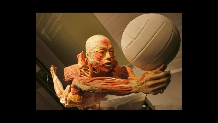 Exposición de cadáveres reales causa sensación en Madrid