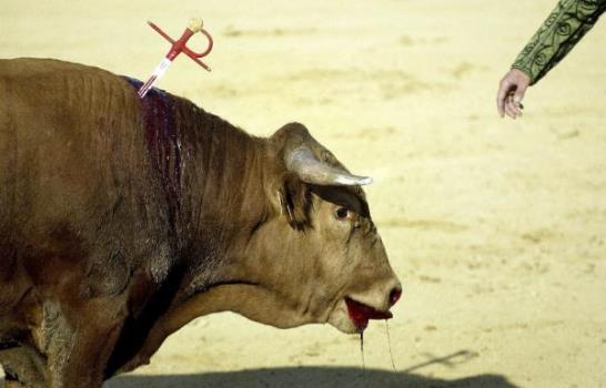 Fotógrafos de Latinoamérica y España muestran pobreza y violencia