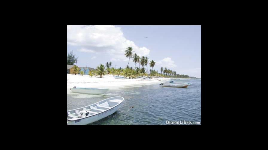 La biodiversidad marina está en la cuerda floja