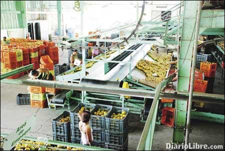 Nuevas oportunidades de desarrollo en Hato Mayor del Rey Nuevas oportunidades de desarrollo en Hato Mayor del Rey