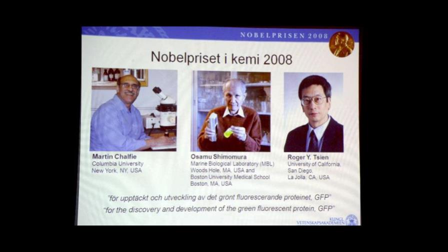 Dos estadounidenses y un japonés comparten el Nobel de Química