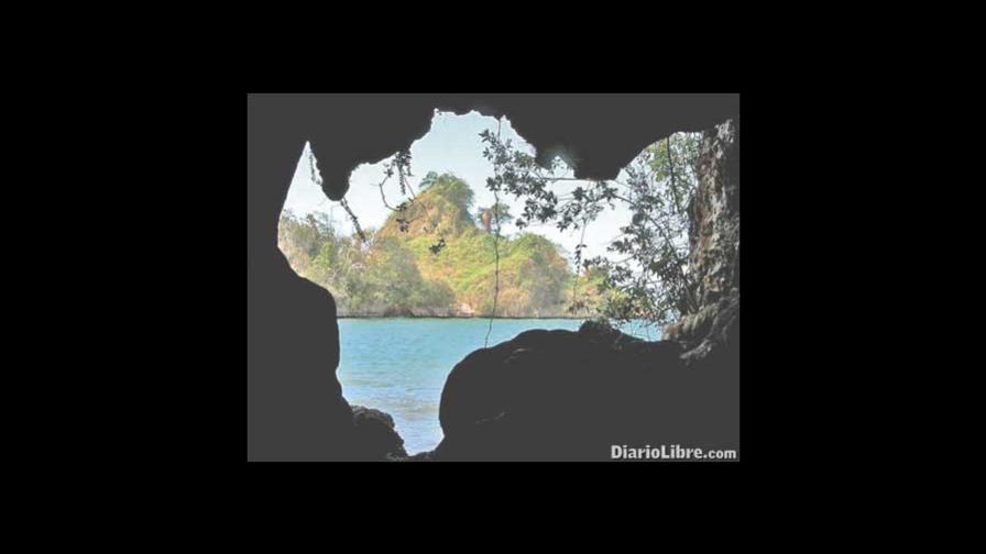 La infinita bondad de la maleza