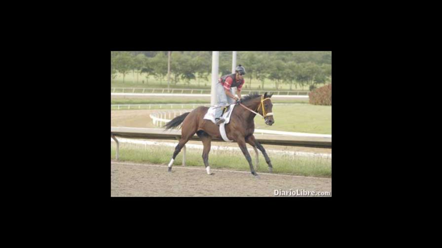 Sicótico, campeón del Clásico del Caribe Sicótico, campeón del Clásico del Caribe