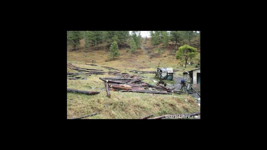 Deforestación afecta lomas de Constanza