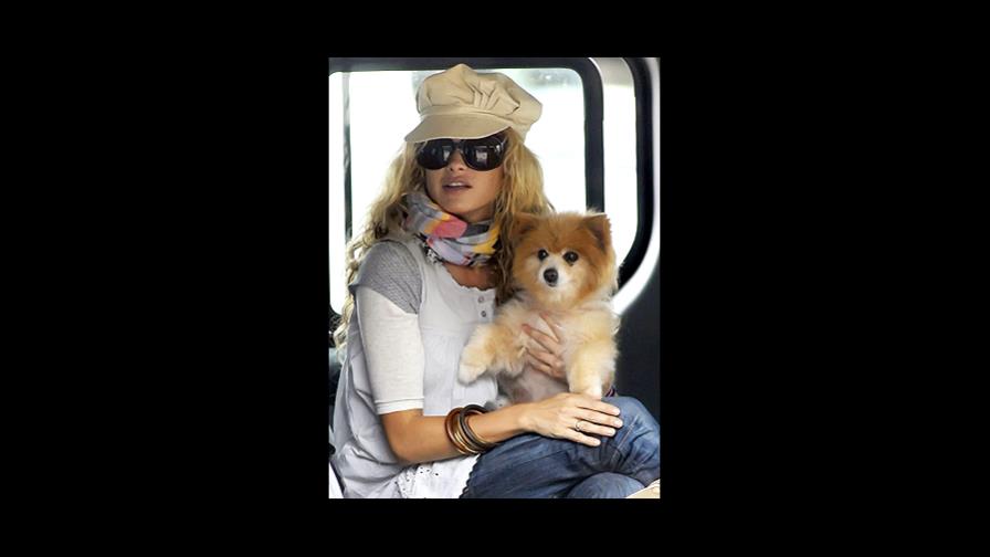 Muere Miranda, la mascota de Paulina Rubio