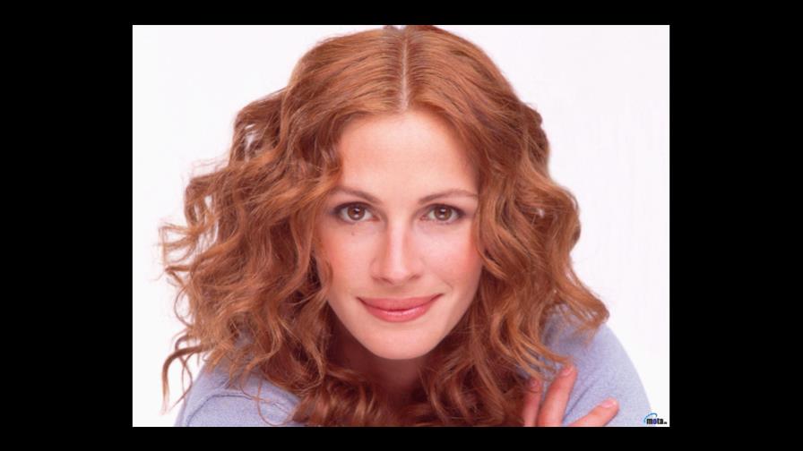 Julia Roberts veranea en Chile