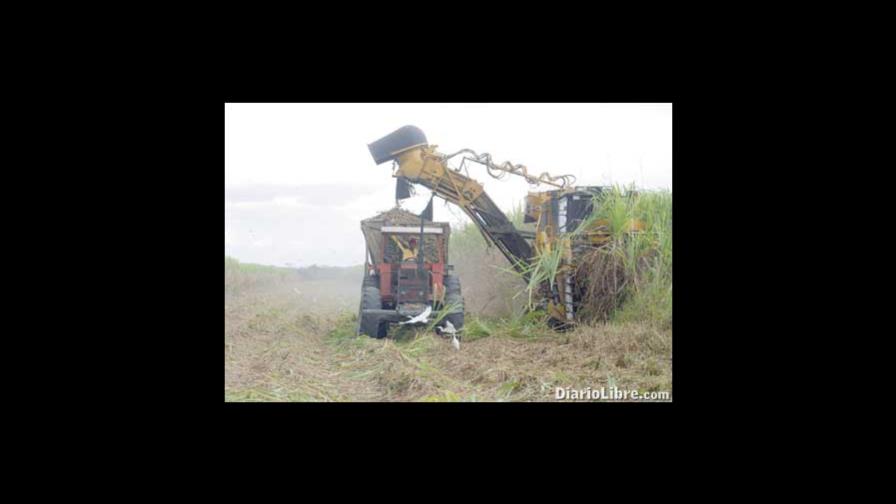 El Grupo Vicini será reconocido por JAD