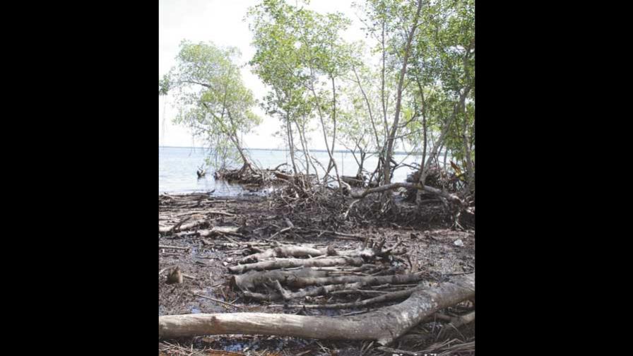 Miches vende sus tierras