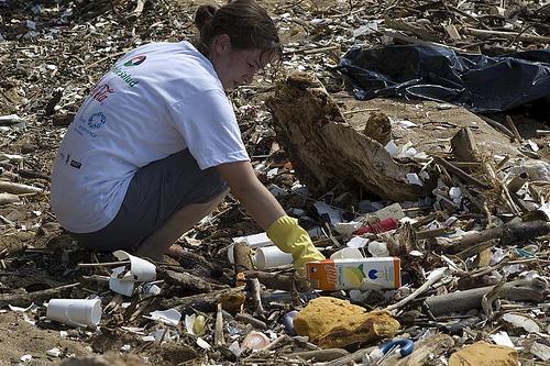 Jornada de limpieza del litoral