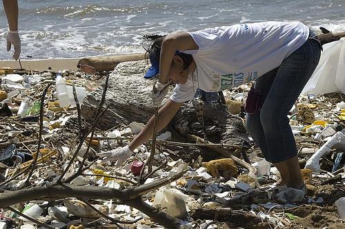 Jornada de limpieza del litoral