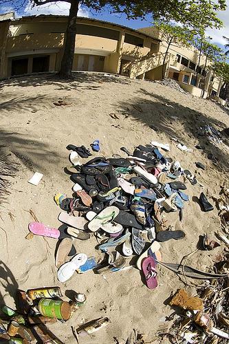 Jornada de limpieza del litoral