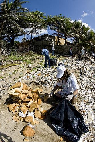 Jornada de limpieza del litoral