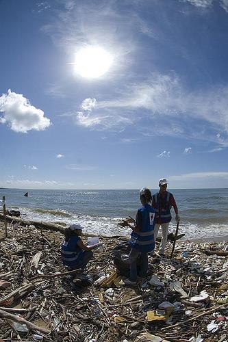 Jornada de limpieza del litoral