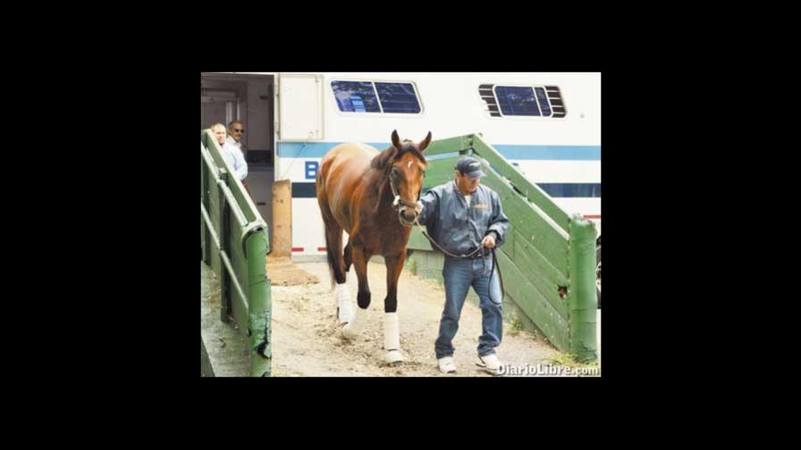 Big Brown y B. Bonds, los BB con esteroides