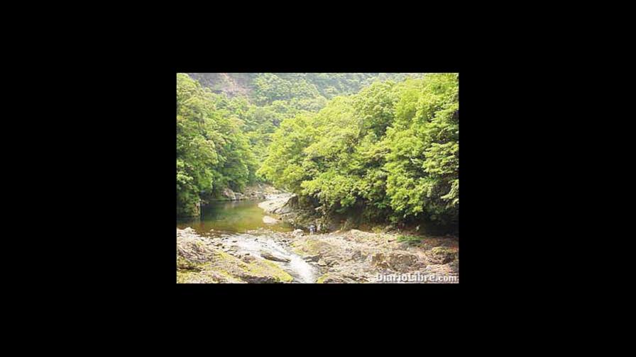 La conservación de los bosques: ¿civilización y barbarie?