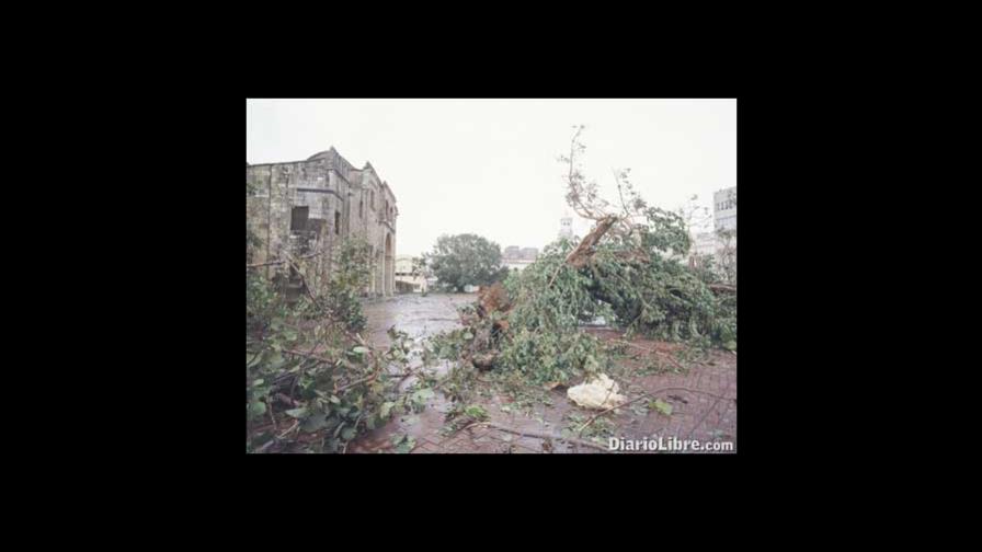 Impacto de los huracanes en los árboles puede ser menor, si hay prevención Impacto de los huracanes en los árboles puede ser menor, si hay prevención