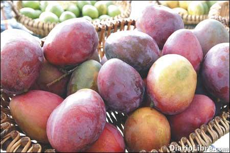 El tiempo de los mangos El tiempo de los mangos