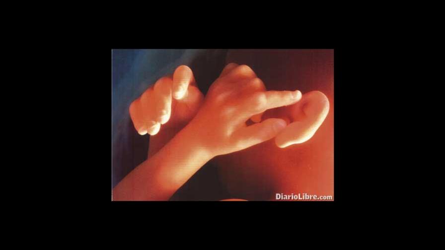 A 30 años de la primera bebé probeta, hay preguntas