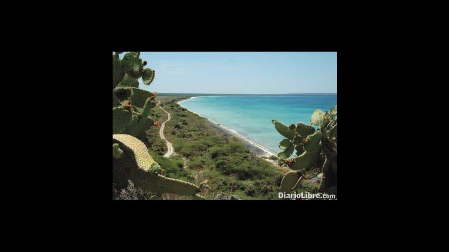 Un bosque seco no es un bosque que se secó
