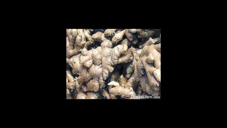 Empresa exporta a PR jengibre líquido