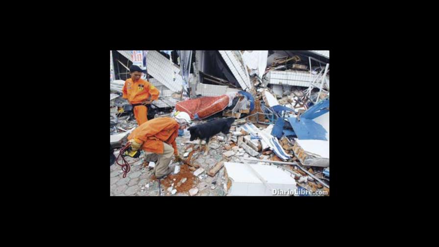 Muertos por sismo pasarían del millar Muertos por sismo pasarían del millar