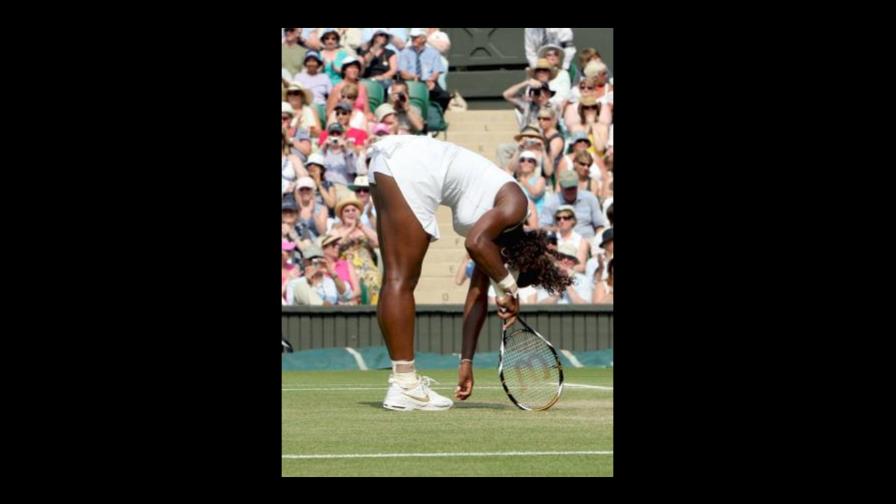 Serena Williams bate el récord de ganancias en un año Serena Williams bate el récord de ganancias en un año