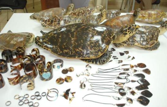 Decomisan cientos de objetos elaborados de concha de carey