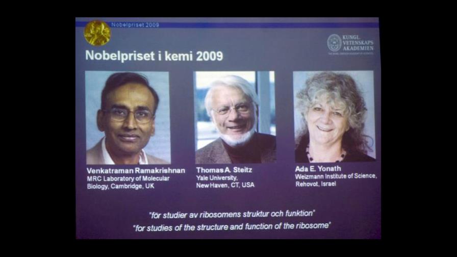 Nobel 2009 para investigadores de los ribosomas, claves para la vida