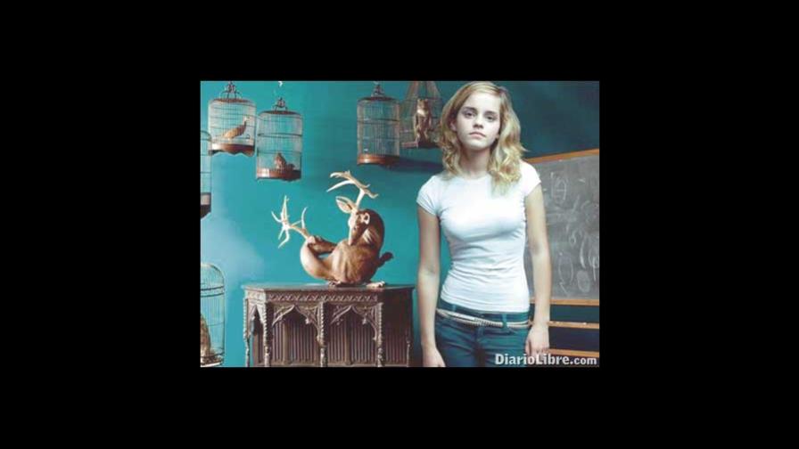 Chica provocativa de Harry Potter