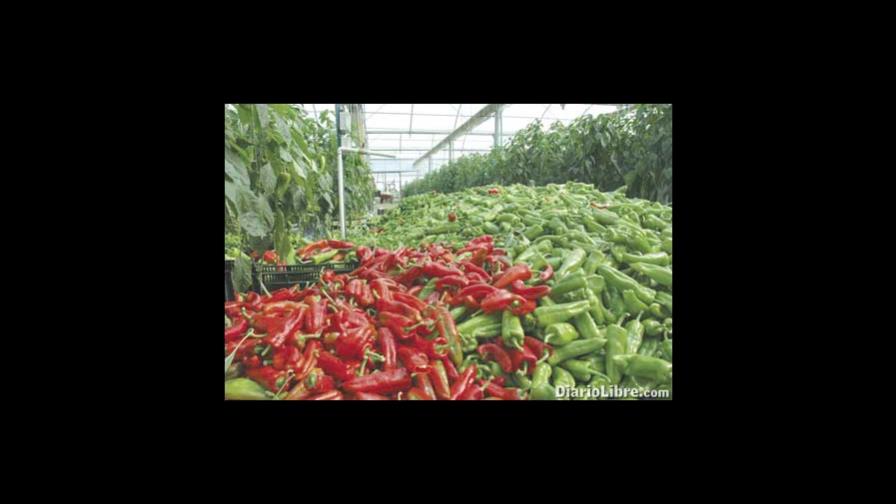 La agricultura orgánica genera US$200MM y 30 mil empleos
