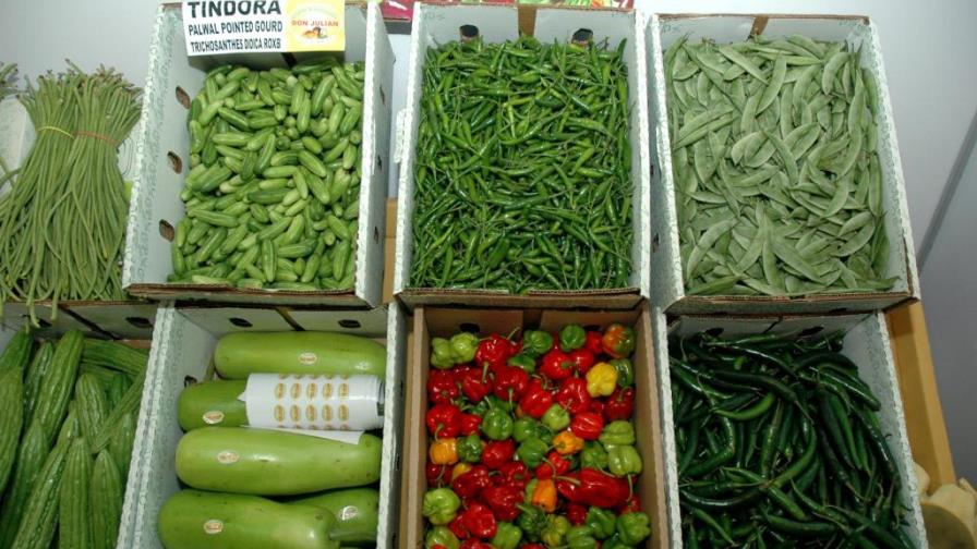 Agricultura dice pre inspección mejora exportaciones hacia EE.UU.