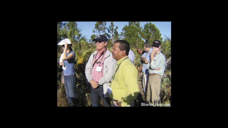 Incendios controlados: quemar el bosque para salvar la vida