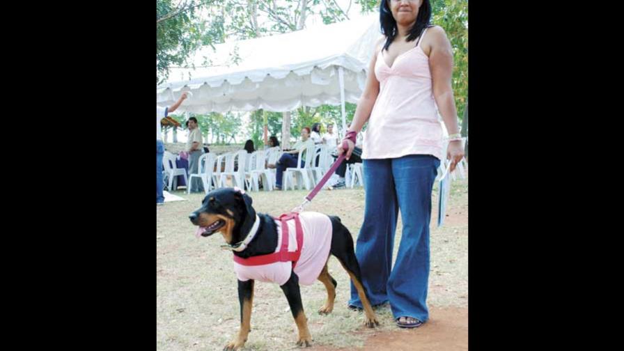 Padela vacuna cientos de perros en DN