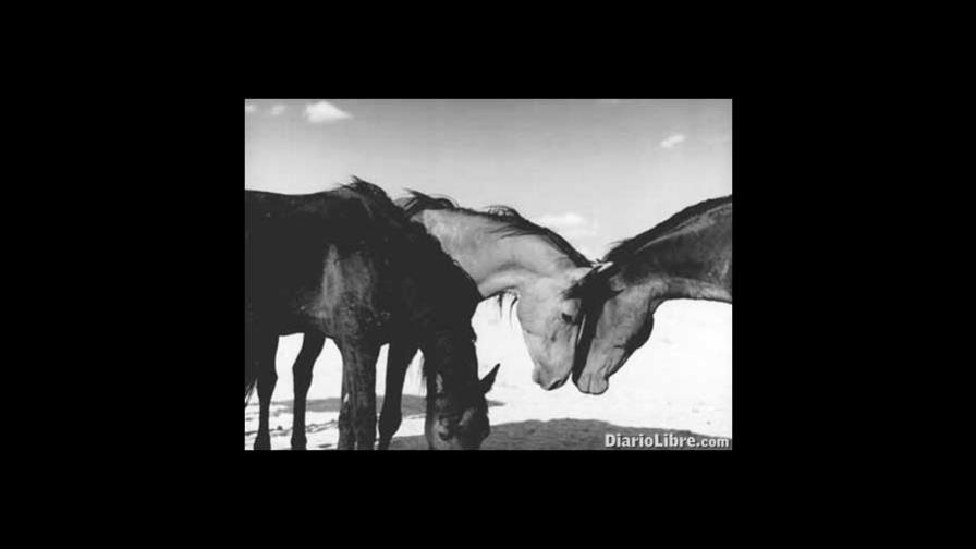 Los campos, los pueblos y los caminos en 1900