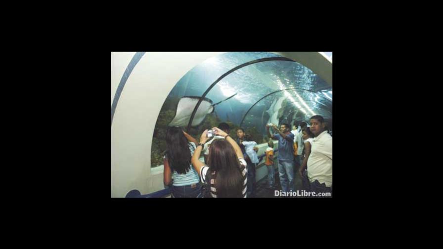 El Acuario Nacional, buena opción para la familia