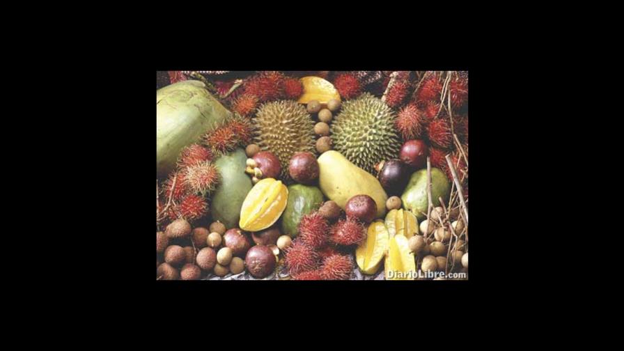 GastronomÍa dominicana