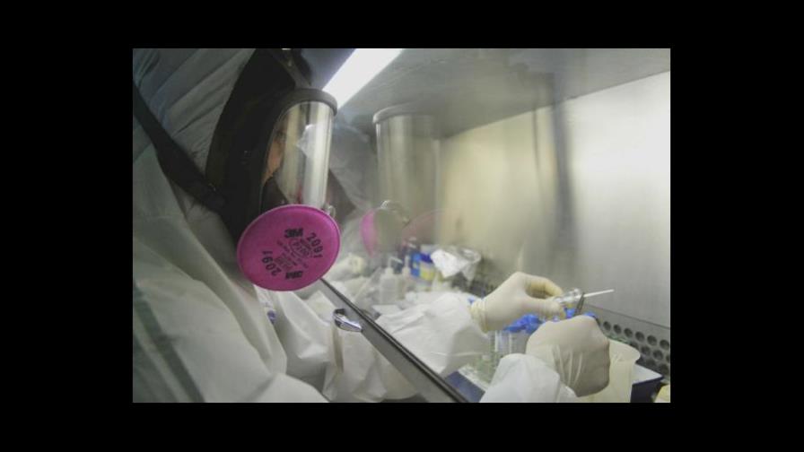 Más de 700 muertos a causa de la gripe A